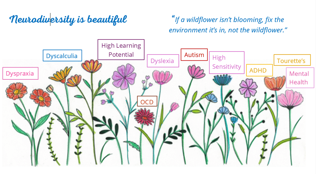 Wildflowers labelled